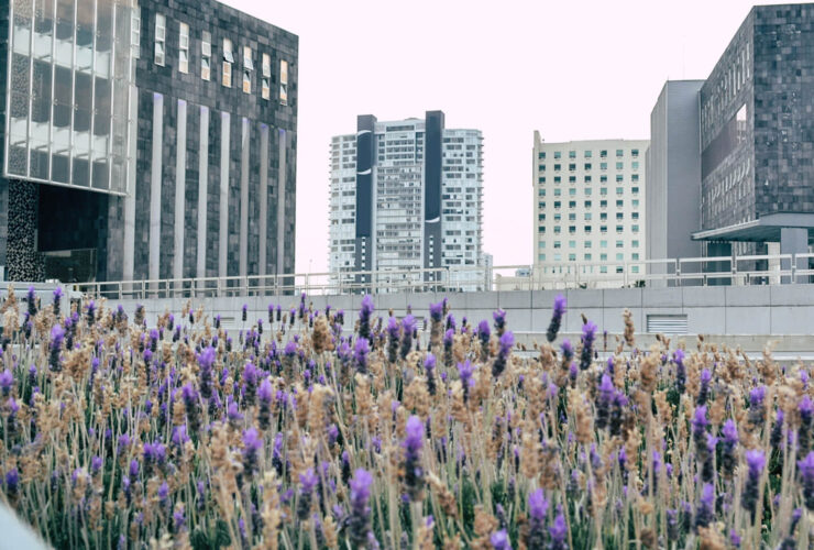 Cómo posicionar una marca