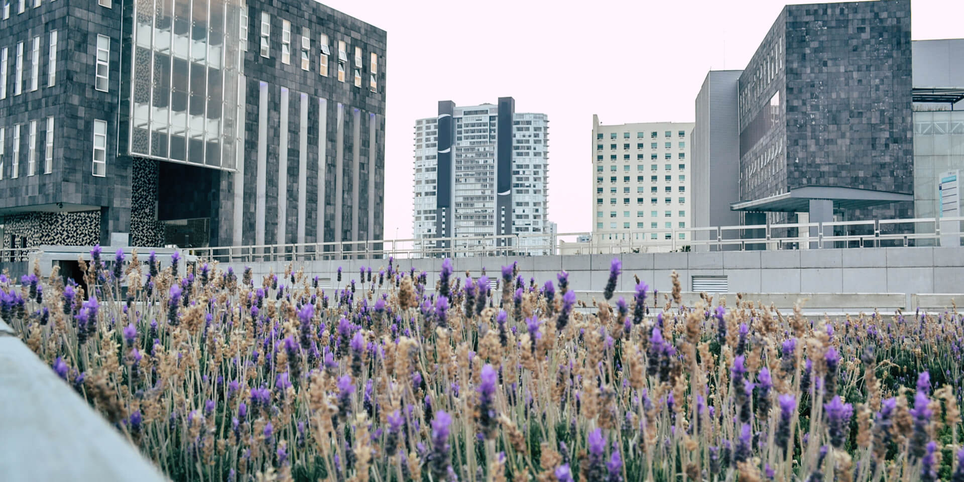 Cómo posicionar una marca